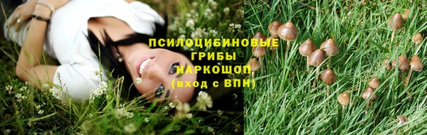 mix Нея
