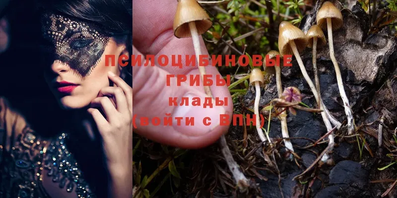 как найти   Кириллов  Псилоцибиновые грибы MAGIC MUSHROOMS 